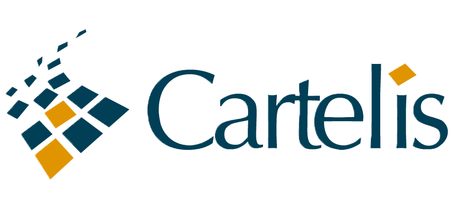 Cartelis - Agence Conseil - Consultante data