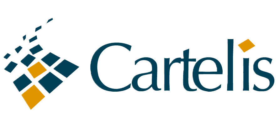 Cartelis - Data & CRM Consulting Manager