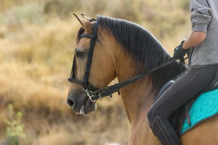 sophie duême loisir équitation