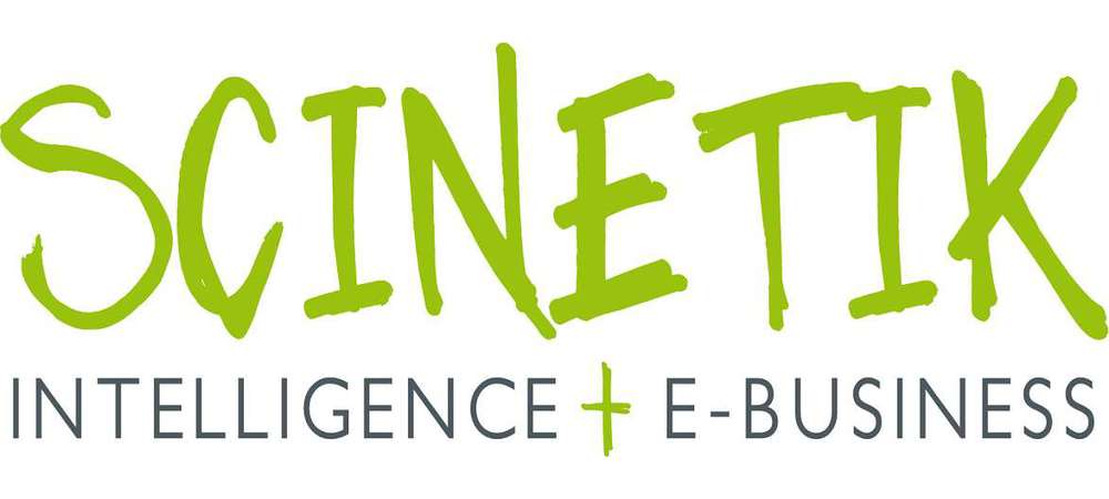 SCINETIK, France – Cabinet de conseil e-business – Consultant.