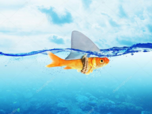 confusion crm cdp data