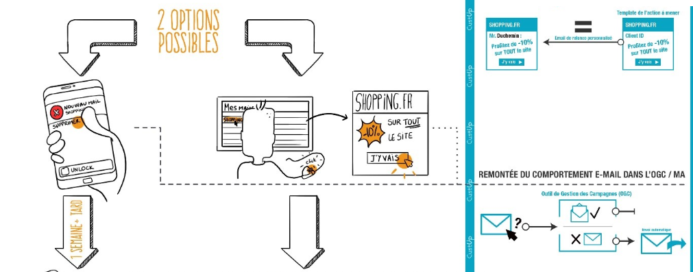 infographie options possibles