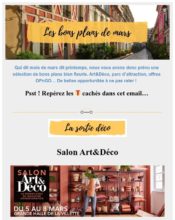 e-mailing - Marketing marque - Communication Produits - Nouveaux produits - Communication Services - Nouveaux Services - Marketing fidélisation - Incitation au réachat - Marketing Acquisition - Ventes flash, soldes, demarque, promo, réduction - Marketing relationnel - Newsletter - OPnGO - 02/2020