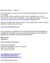 e-mailing - Marketing relationnel - Bienvenue - Welcome - Association Kokopelli - 02/2020