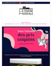 e-mailing - Marketing relationnel - Calendaire (Noël, St valentin, Vœux, …) - Marketing marque - Communication Produits - Nouveaux produits - Marketing Acquisition - Gratuit - Cadeau - Ventes flash, soldes, demarque, promo, réduction - Marketing fidélisation - Incitation au réachat - La Seine Musicale - 02/2020