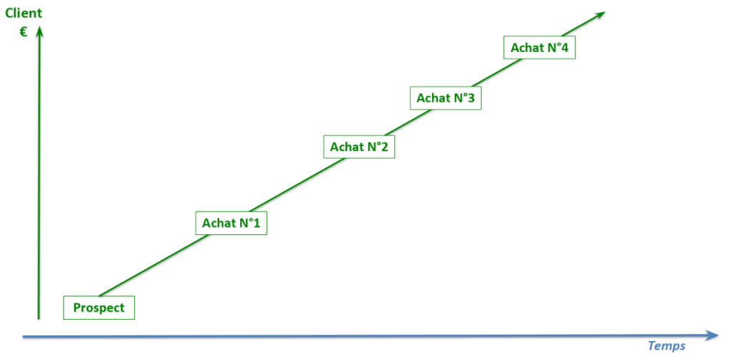 lifetime value schema