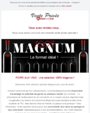 e-mailing - Marketing marque - Communication Produits - Nouveaux produits - Marketing fidélisation - Incitation au réachat - Marketing Acquisition - Ventes flash, soldes, demarque, promo, réduction - Ventes privées - Wine And Co - 03/2020