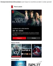 e-mailing - Marketing relationnel - Alerting - Marketing marque - Communication Produits - Nouveaux produits - Communication Services - Nouveaux Services - Netflix - 03/2020