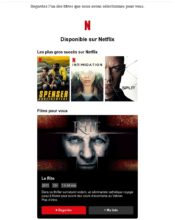 e-mailing - Marketing relationnel - Alerting - Marketing marque - Communication Produits - Nouveaux produits - Communication Services - Nouveaux Services - Netflix - 03/2020
