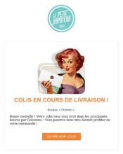 e-mailing - Transactionnels - Suivi de commande Expédition / Livraison - Le Petit Vapoteur - 03/2020