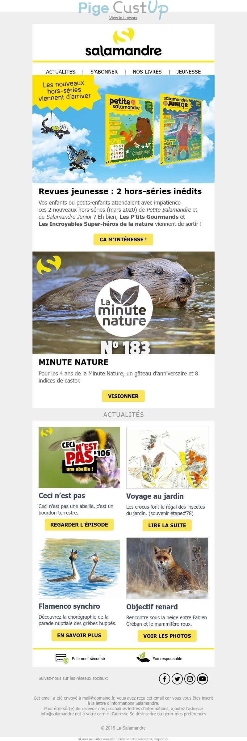 Exemple de Type de media  e-mailing - Salamandre - Marketing marque - Communication Produits - Nouveaux produits - Communication Services - Nouveaux Services - Marketing fidélisation - Incitation au réachat - Marketing relationnel - Newsletter