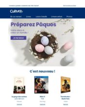 e-mailing - Marketing relationnel - Calendaire (Noël, St valentin, Vœux, …) - Marketing marque - Communication Produits - Nouveaux produits - Marketing fidélisation - Incitation au réachat - Marketing Acquisition - Ventes flash, soldes, demarque, promo, réduction - Cultura - 03/2020