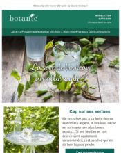 e-mailing - Marketing marque - Communication Produits - Nouveaux produits - Marketing relationnel - Evénement - Newsletter - Marketing fidélisation - Incitation au réachat - Botanic - 03/2020