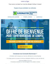 e-mailing - Collecte de données - Acquisition de leads - Marketing marque - Communication Services - Nouveaux Services - Marketing Acquisition - Ventes flash, soldes, demarque, promo, réduction - Euromaster - 03/2020