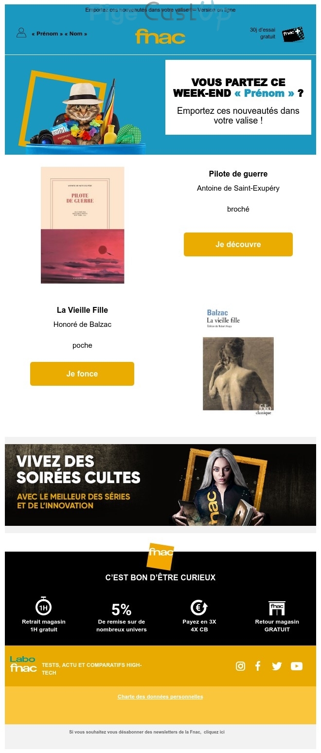 Exemple de Type de media  e-mailing - Fnac - Marketing marque - Communication Produits - Nouveaux produits - Marketing fidélisation - Incitation au réachat - Marketing Acquisition - Ventes flash, soldes, demarque, promo, réduction