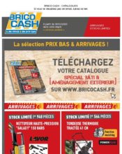 e-mailing - Marketing marque - Communication Produits - Nouveaux produits - Marketing fidélisation - Incitation au réachat - Brico Cash - 03/2020