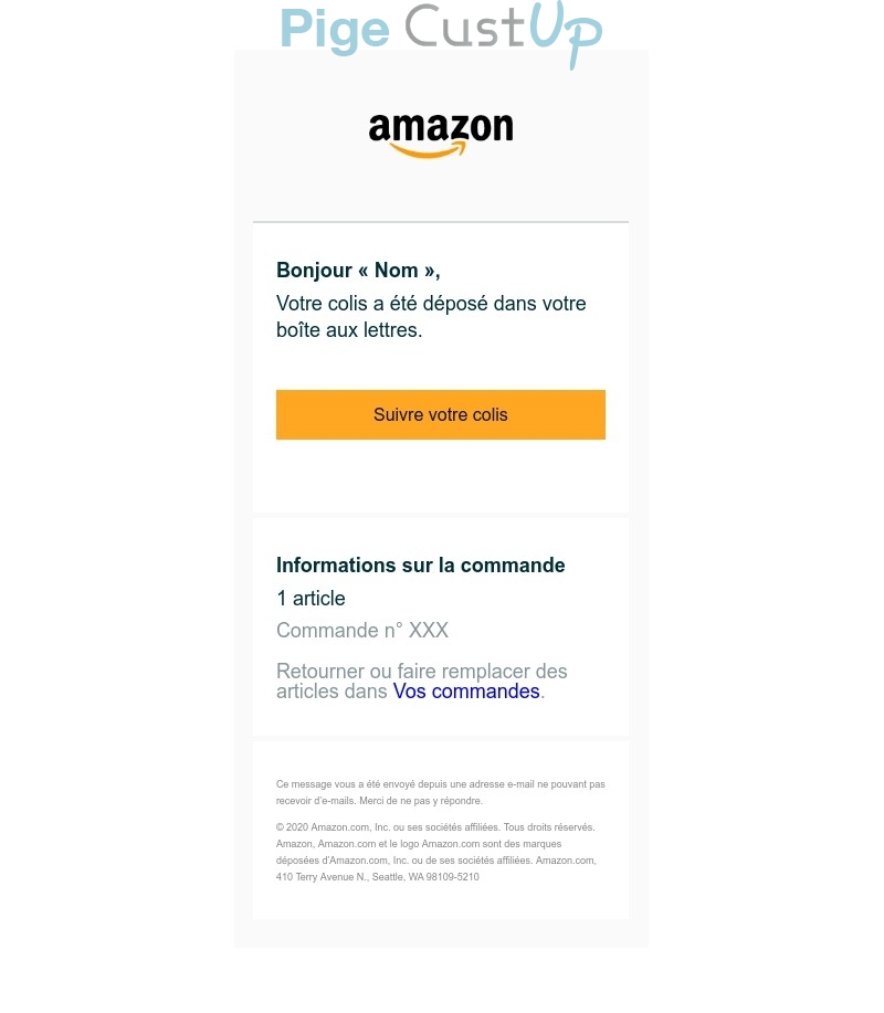 Exemple de Type de media  e-mailing - Amazon - Transactionnels - Confirmation Livraison