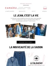 e-mailing - Marketing marque - Communication Produits - Nouveaux produits - Communication Services - Nouveaux Services - Marketing fidélisation - Incitation au réachat - Points et statut - Marketing Acquisition - Ventes flash, soldes, demarque, promo, réduction - Camaïeu - 04/2020