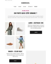 e-mailing - Marketing fidélisation - Incitation au réachat - Marketing Acquisition - Ventes flash, soldes, demarque, promo, réduction - Sarenza - 04/2020