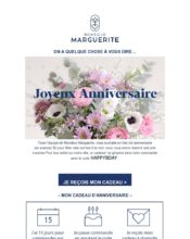 e-mailing - Monsieur Marguerite - 04/2020