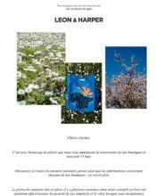 e-mailing - Léon & Harper - 05/2020