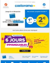 e-mailing - Marketing fidélisation - Incitation au réachat - Points et statut - Marketing Acquisition - Ventes flash, soldes, demarque, promo, réduction - Castorama - 06/2020