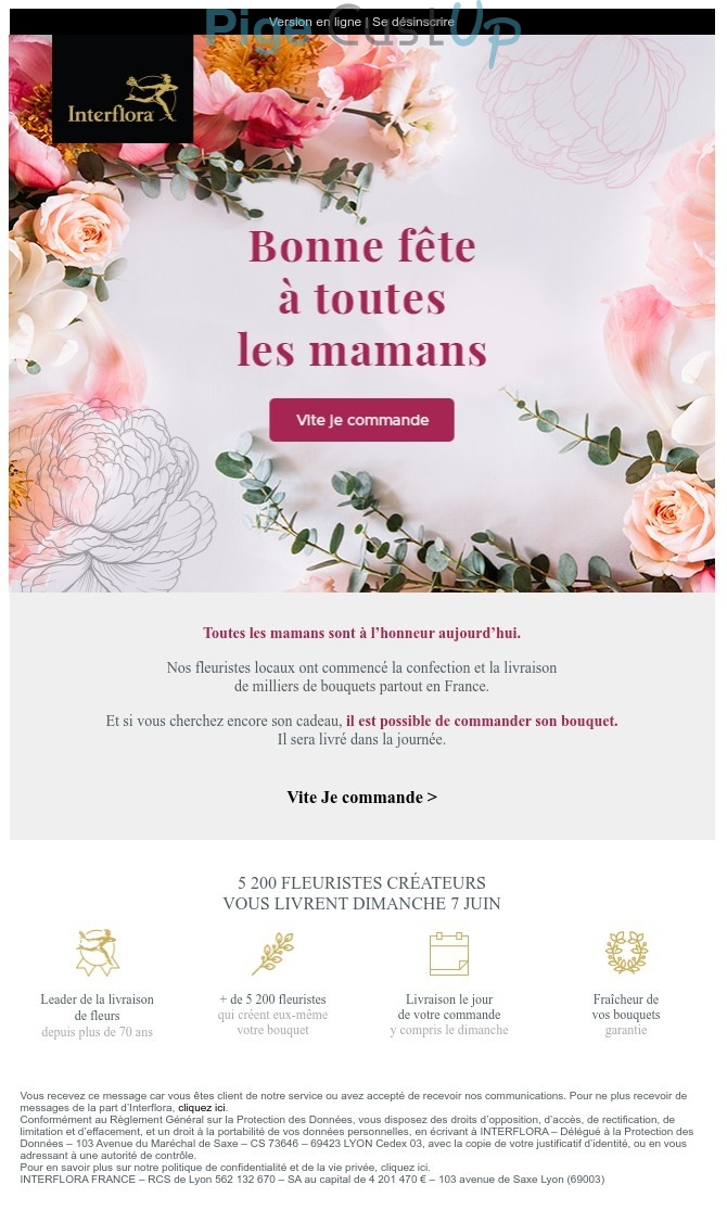 Exemple de Type de media  e-mailing - Interflora - Marketing relationnel - Calendaire (Noël, St valentin, Vœux, …)