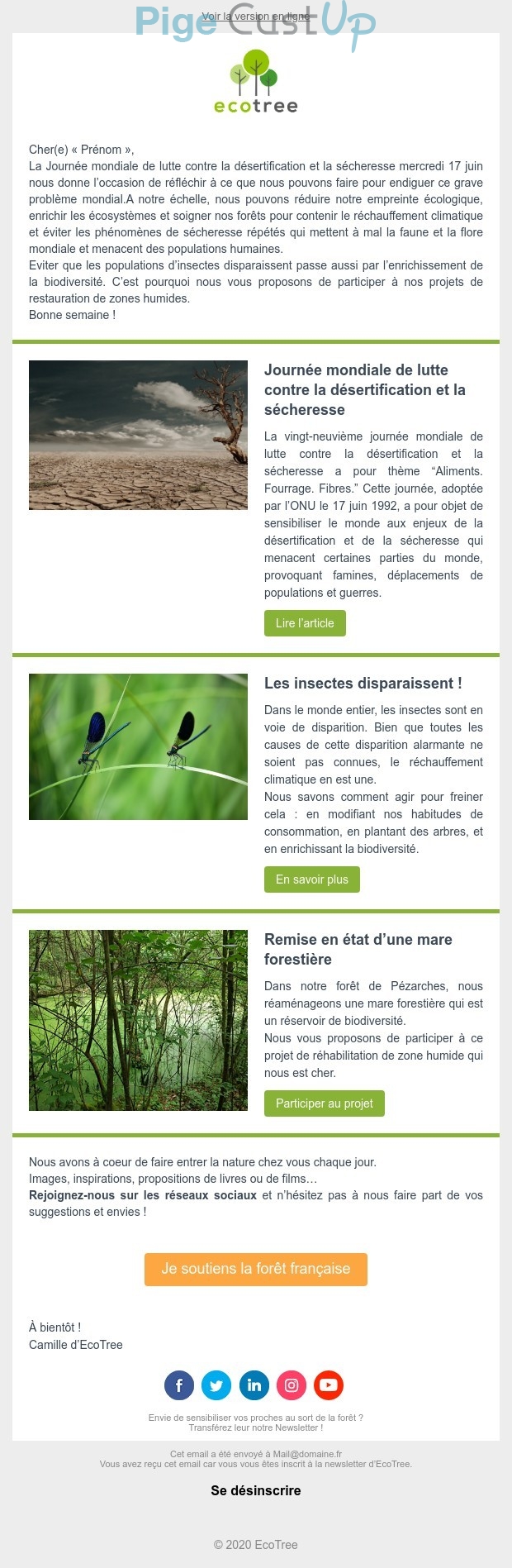 Exemple de Type de media  e-mailing - EcoTree - Marketing relationnel - Newsletter