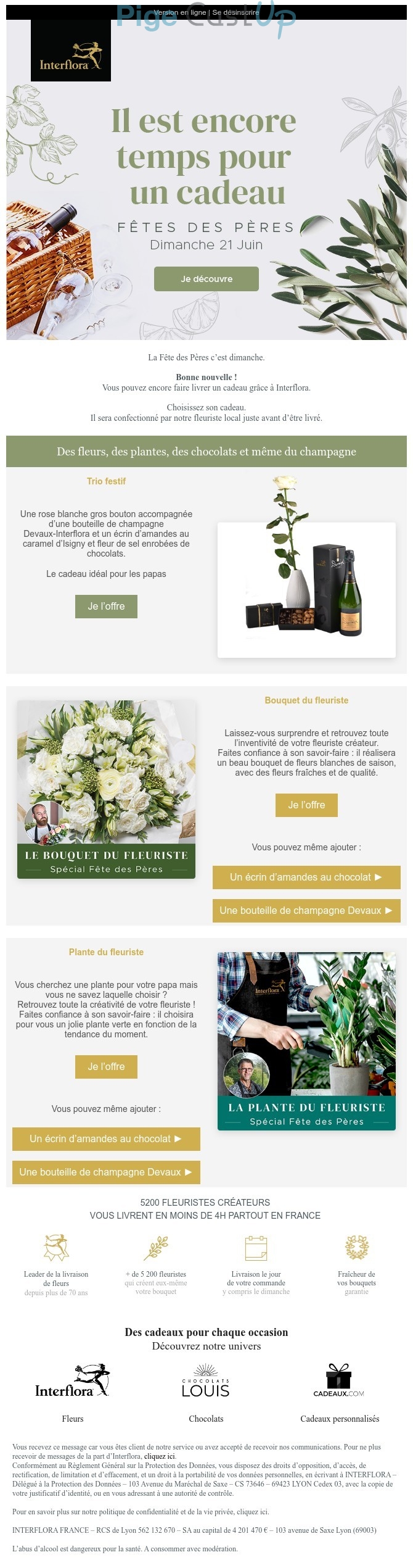 Exemple de Type de media  e-mailing - Interflora - Marketing relationnel - Calendaire (Noël, St valentin, Vœux, …) - Marketing marque - Communication Produits - Nouveaux produits - Communication Services - Nouveaux Services - Marketing fidélisation - Incitation au réachat