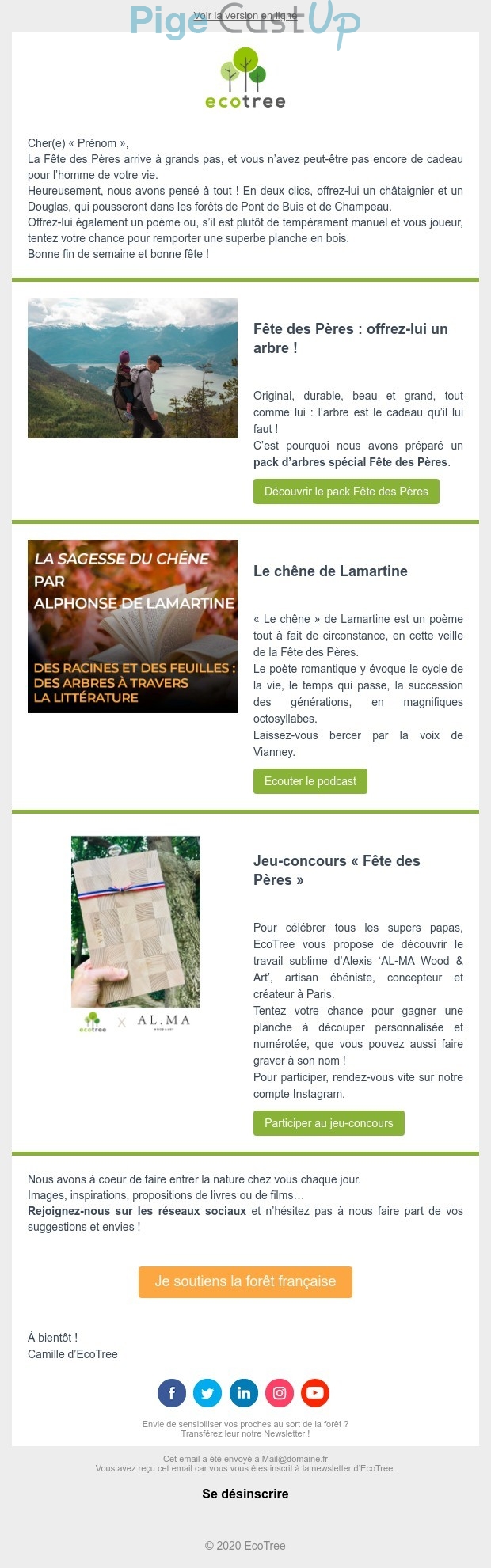 Exemple de Type de media  e-mailing - EcoTree - Marketing relationnel - Calendaire (Noël, St valentin, Vœux, …) - Marketing marque - Communication Produits - Nouveaux produits - Communication Services - Nouveaux Services - Marketing fidélisation - Incitation au réachat