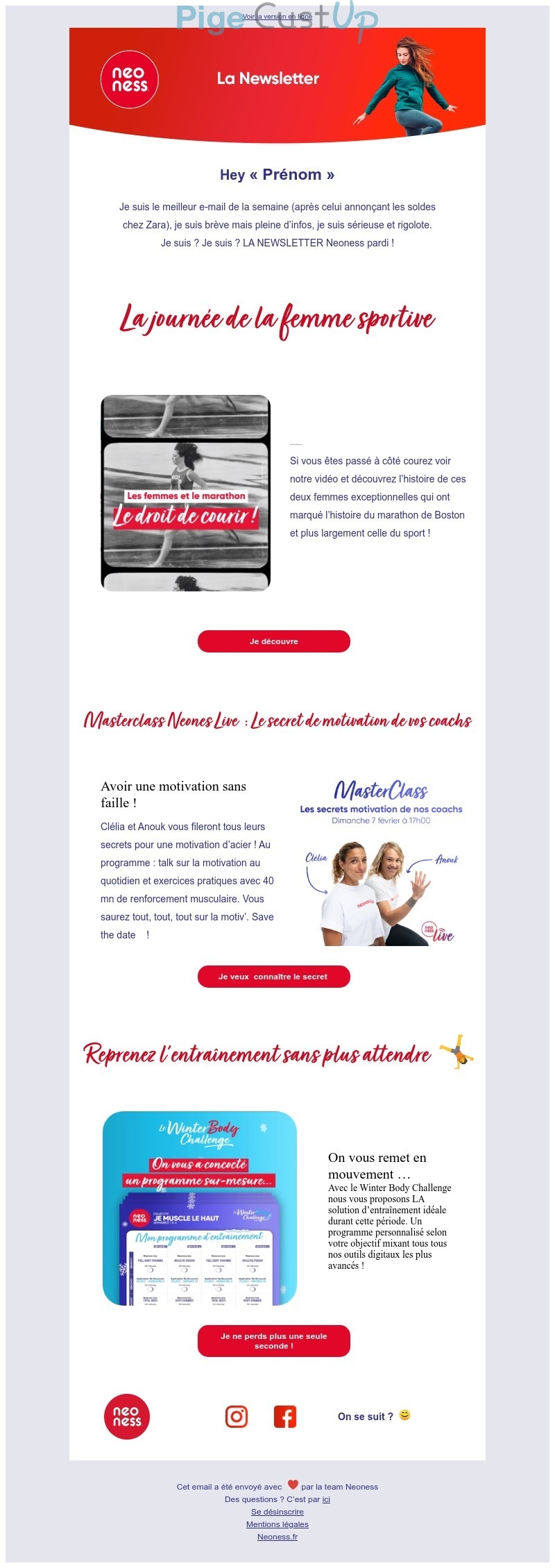 Exemple de Type de media  e-mailing - Neoness - Marketing relationnel - Newsletter