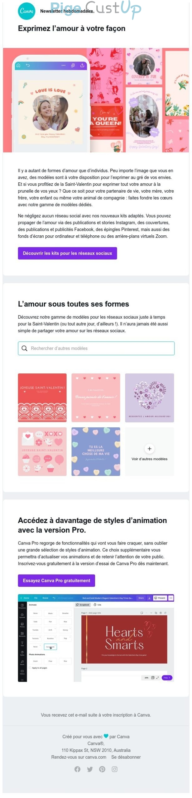 Exemple de Type de media  e-mailing - Canva - Marketing marque - Communication Produits - Nouveaux produits - Marketing relationnel - Newsletter