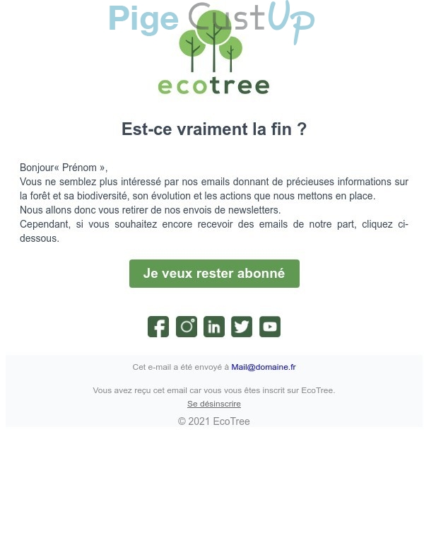 Exemple de Type de media  e-mailing - EcoTree - Marketing Acquisition - Relance inactifs