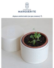 e-mailing - Marketing relationnel - Anniversaire / Fête contact - Monsieur Marguerite - 04/2021