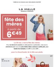 - Marketing relationnel - Calendaire (Noël, St valentin, Vœux, …) - Marketing fidélisation - Incitation au réachat - Marketing Acquisition - Ventes flash, soldes, demarque, promo, réduction - La Halle - 05/2024