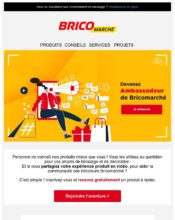 e-mailing - Marketing fidélisation - Animation / Vie du Programme de Fidélité - Testeurs / Ambassadeurs - Bricomarché - 07/2021