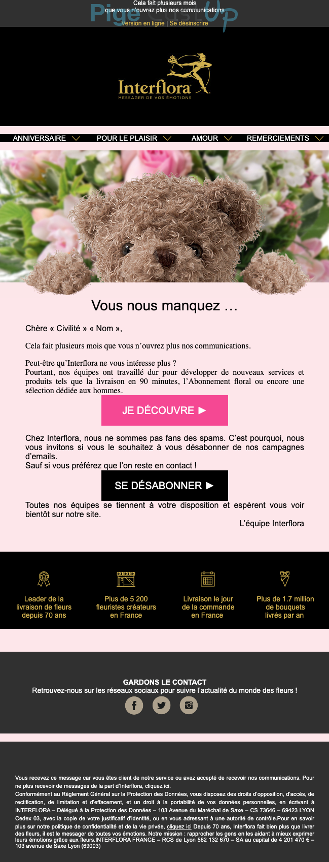 Exemple de Type de media  e-mailing - Interflora - Marketing Acquisition - Relance inactifs