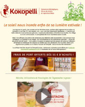 e-mailing - Marketing fidélisation - Incitation au réachat - Marketing relationnel - Newsletter - Association Kokopelli - 08/2021