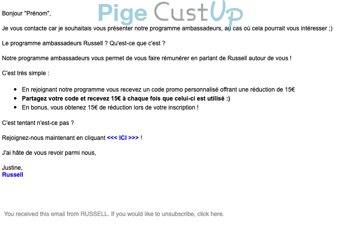 Exemple de Type de media  e-mailing - Russell - Marketing fidélisation - Testeurs / Ambassadeurs