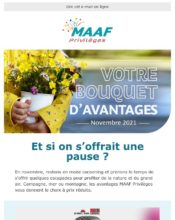 e-mailing - Marketing relationnel - Newsletter - Maaf - 10/2024