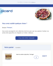 e-mailing - Marketing Acquisition - Panier abandonné - Picard - 12/2021