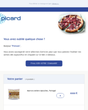 e-mailing - Picard - 12/2021