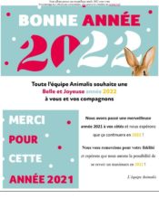 e-mailing - Marketing relationnel - Newsletter - Remerciements - Animalis - 01/2022