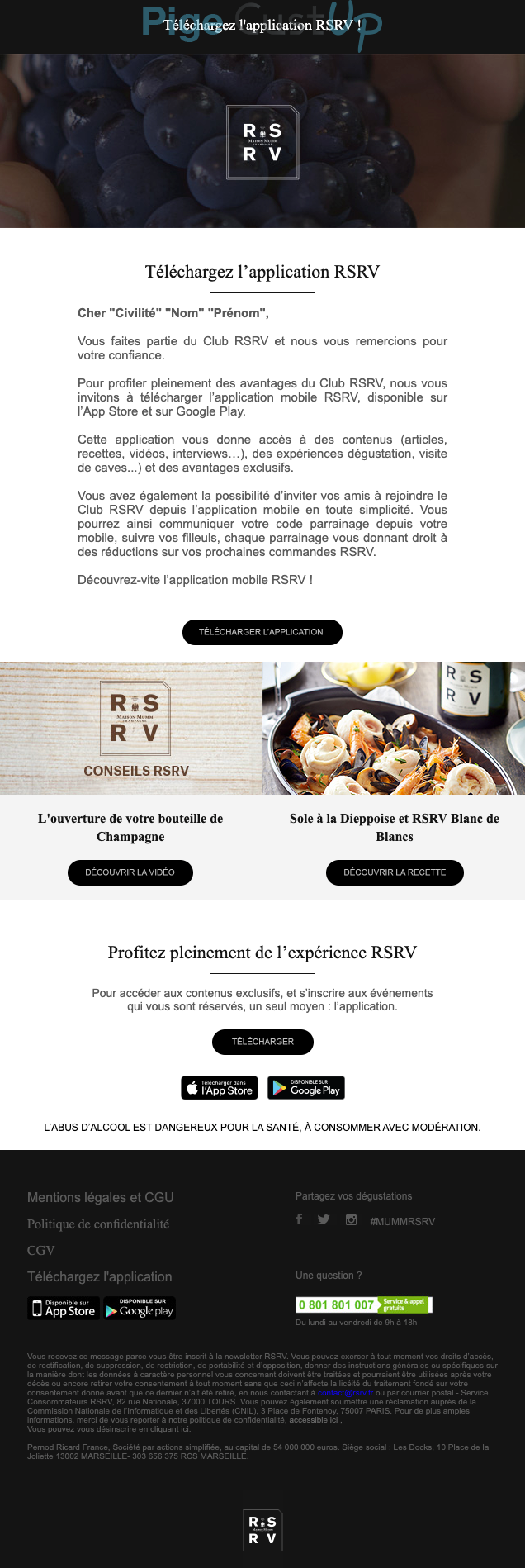 Exemple de Type de media  e-mailing - RSRV - Marketing relationnel - Application mobile - Marketing Acquisition - Parrainage