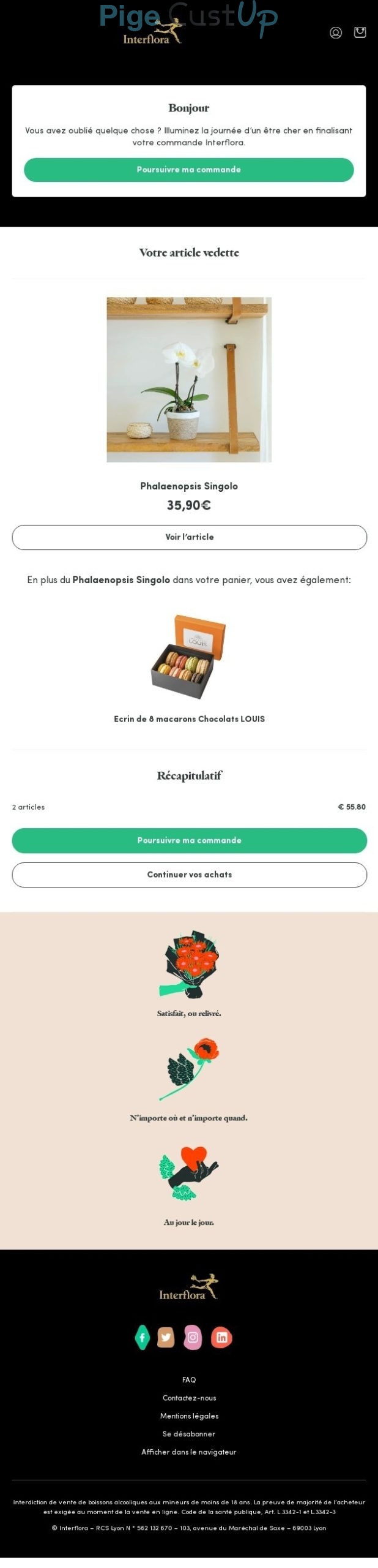 Exemple de Type de media  e-mailing - Interflora - Marketing Acquisition - Panier abandonné