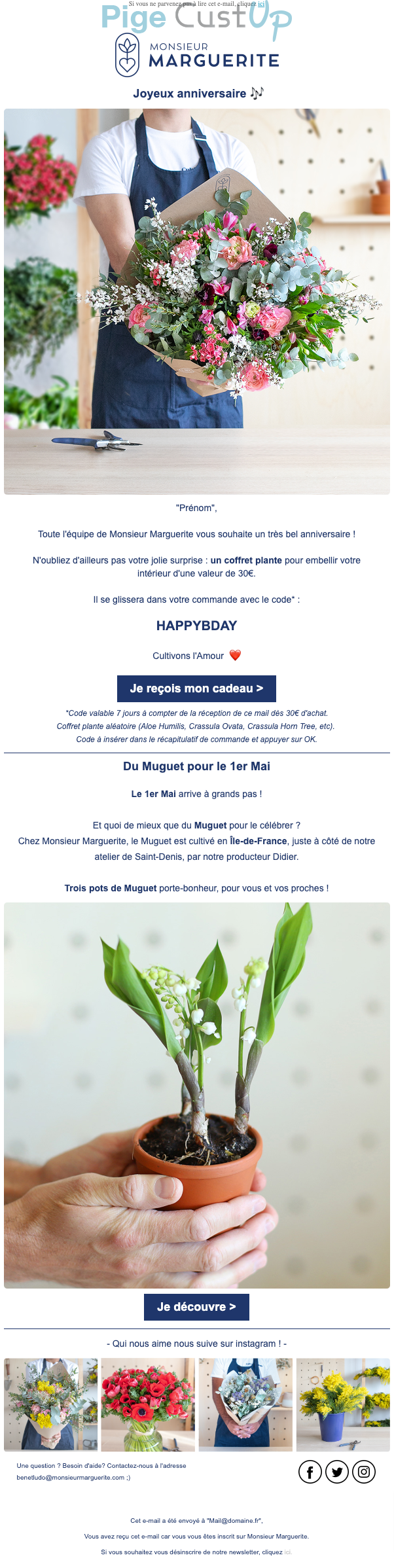 Exemple de Type de media  e-mailing - Monsieur Marguerite - Marketing relationnel - Anniversaire / Fête contact