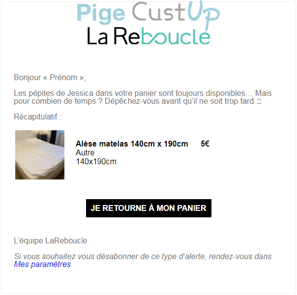 Exemple de Type de media  e-mailing - La Reboucle - Marketing Acquisition - Panier abandonné