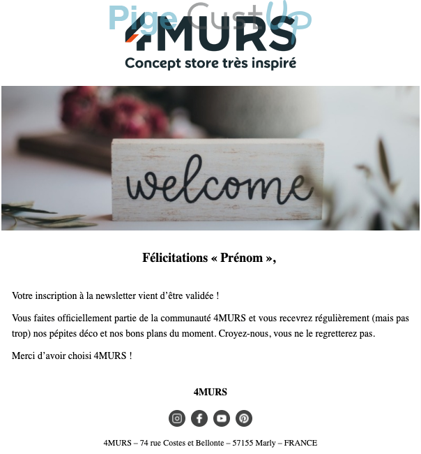 Exemple de Type de media  e-mailing - 4 Murs - Transactionnels - Confirmation Inscription Newsletter