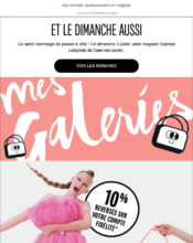 e-mailing - Marketing fidélisation - Animation / Vie du Programme de Fidélité - Marketing Acquisition - Ventes flash, soldes, demarque, promo, réduction - Galeries Lafayette - 06/2022