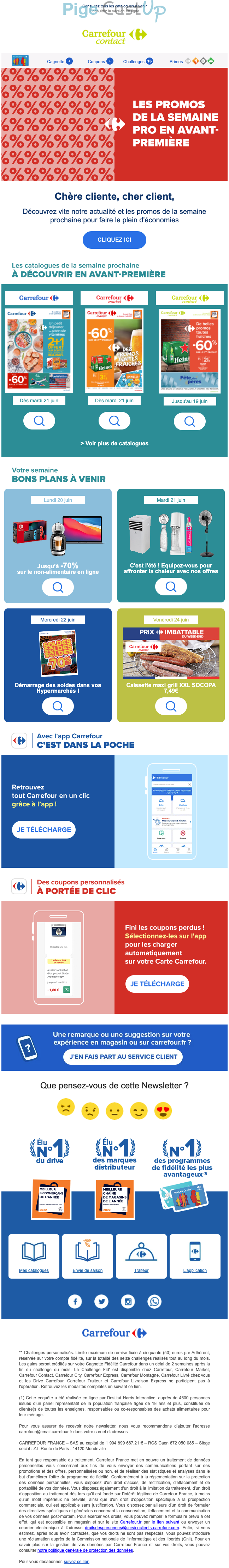 Exemple de Type de media  e-mailing - Carrefour - Marketing relationnel - Newsletter